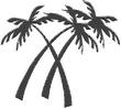 PALM8.jpg