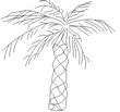 PALM9.jpg