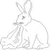 RABIT4.jpg