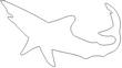 SHARK1.jpg