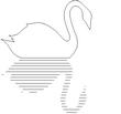 SWAN1.jpg