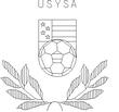 USYSA2.jpg