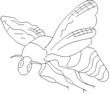 WASP.jpg