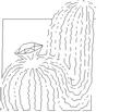 CACS10.jpg