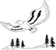 EAGLESCT.jpg