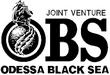 OBS.jpg