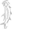 TARPON.jpg