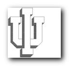 IU.jpg