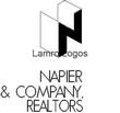 NAPIER2.jpg