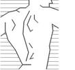 BACK.jpg