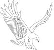 EAGLE.jpg