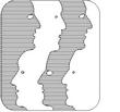 FACES.jpg