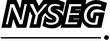 NYSEG4.jpg