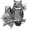 OWL.jpg