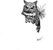 OWL3.jpg