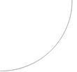 RADIUS2.jpg