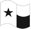 TXFLAG.jpg