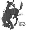 BUCK.jpg