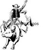 BULL.jpg