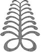 FERN.jpg
