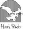 HAWK.jpg