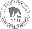 NYTB.jpg