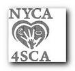 NYCA.jpg