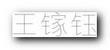 WANG.jpg