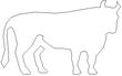 TAUR5.jpg