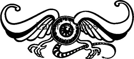 FLYINEYE